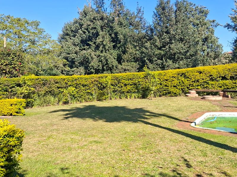 A spacious garden area featuring a lawn, established hedge boundaries, a small plunge pool, and a brick built-in braai facility.