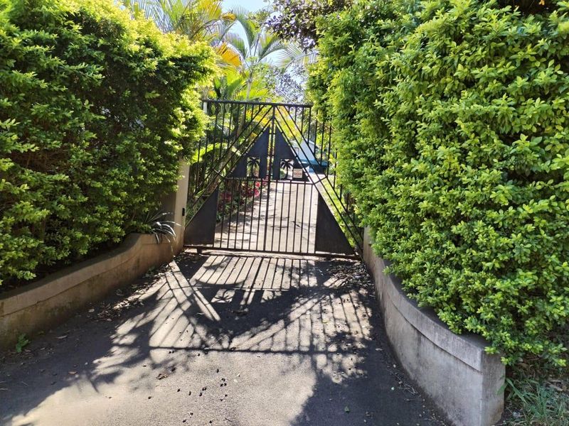 A gated entrance featuring a metal security gate flanked by established hedges and concrete retaining walls leading to the property driveway.