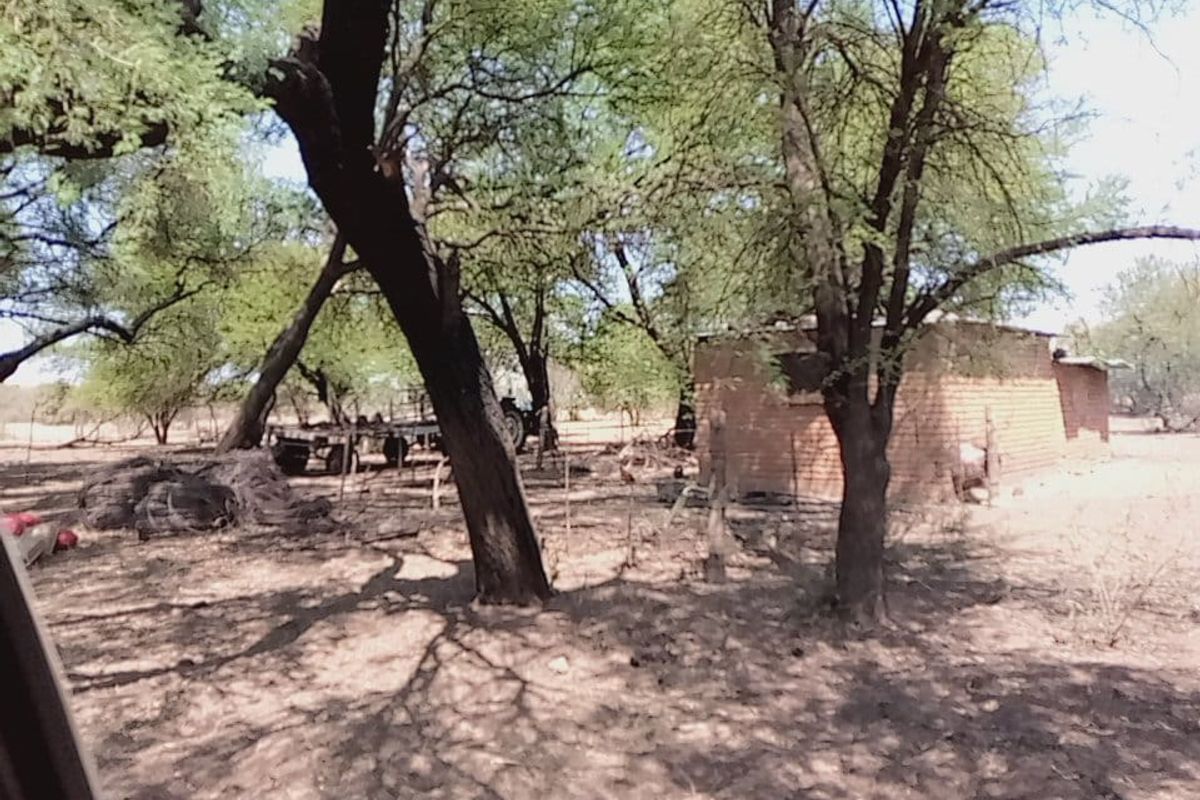 Exceptional Game and Cattle Farm for Sale in the Lichtenburg District - Photo 4