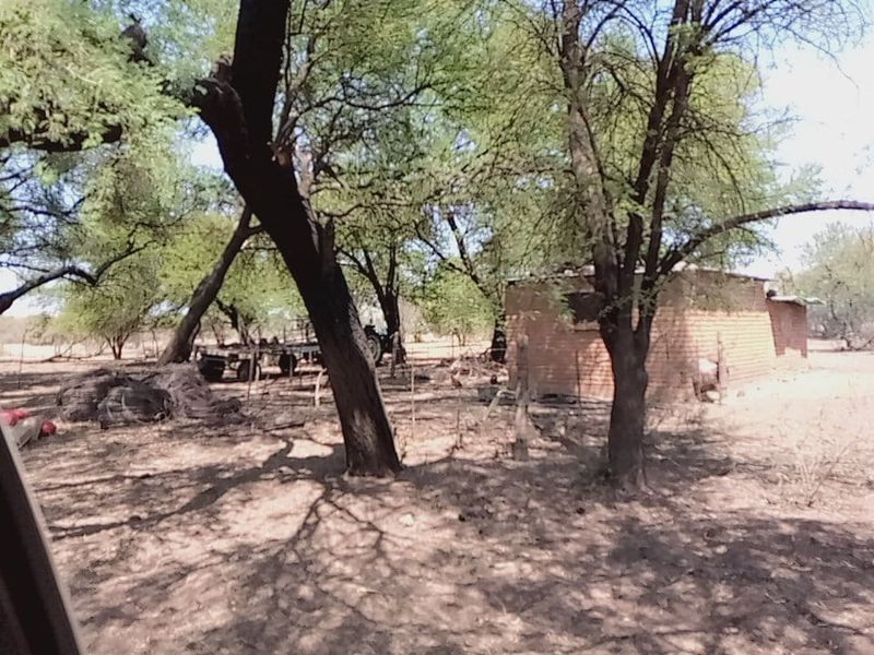 Exceptional Game and Cattle Farm for Sale in the Lichtenburg District - Photo 4