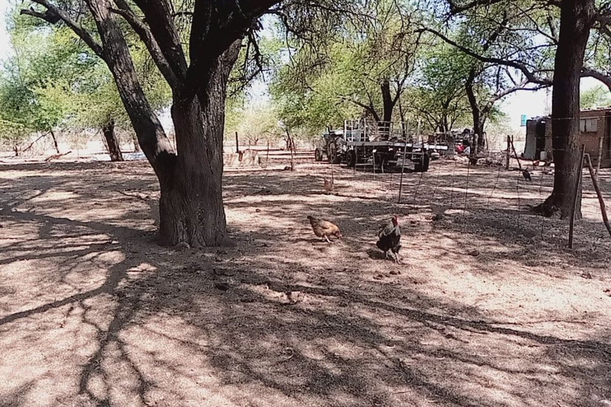 Exceptional Game and Cattle Farm for Sale in the Lichtenburg District - Photo 2