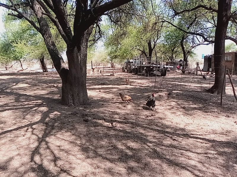 Exceptional Game and Cattle Farm for Sale in the Lichtenburg District - Photo 2