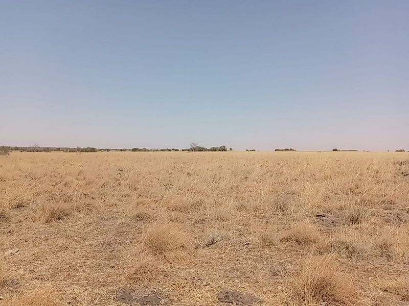 Exceptional Game and Cattle Farm for Sale in the Lichtenburg District - Photo 5