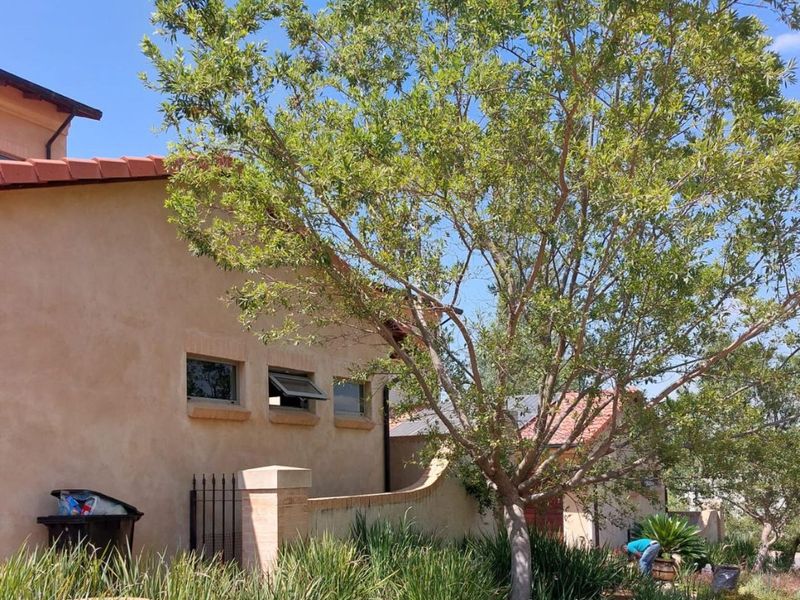 A view of the front exterior featuring plastered walls, terracotta roof tiles, and established garden landscaping with a brick boundary wall.