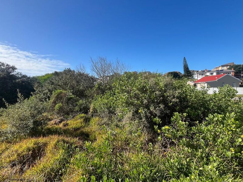 Prime Development Opportunity in Aston Bay 13,180m2 of Coastal Potential - Photo 6