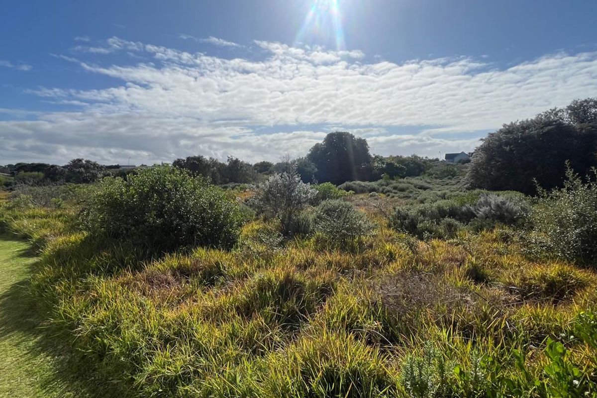 Prime Development Opportunity in Aston Bay 13,180m2 of Coastal Potential - Photo 5