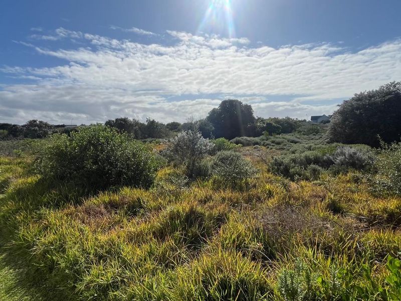 Prime Development Opportunity in Aston Bay 13,180m2 of Coastal Potential - Photo 5