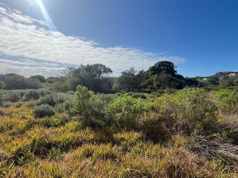 Prime Development Opportunity in Aston Bay 13,180m2 of Coastal Potential - Photo 10