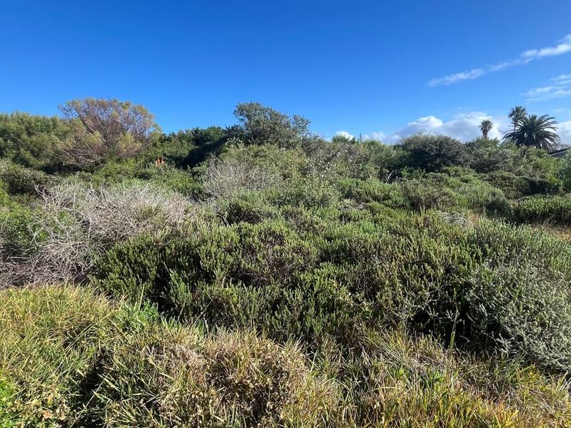 Prime Development Opportunity in Aston Bay 13,180m2 of Coastal Potential - Photo 9