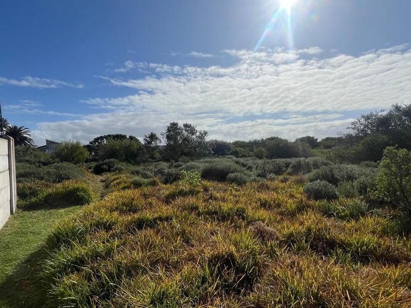 Prime Development Opportunity in Aston Bay 13,180m2 of Coastal Potential - Photo 7