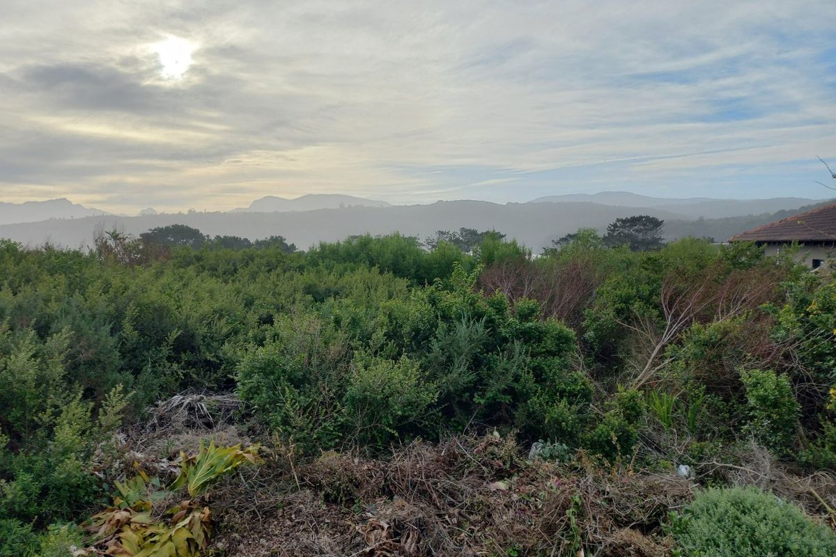 One the few Kleinkrantz Stands For Sale ! - Photo 5