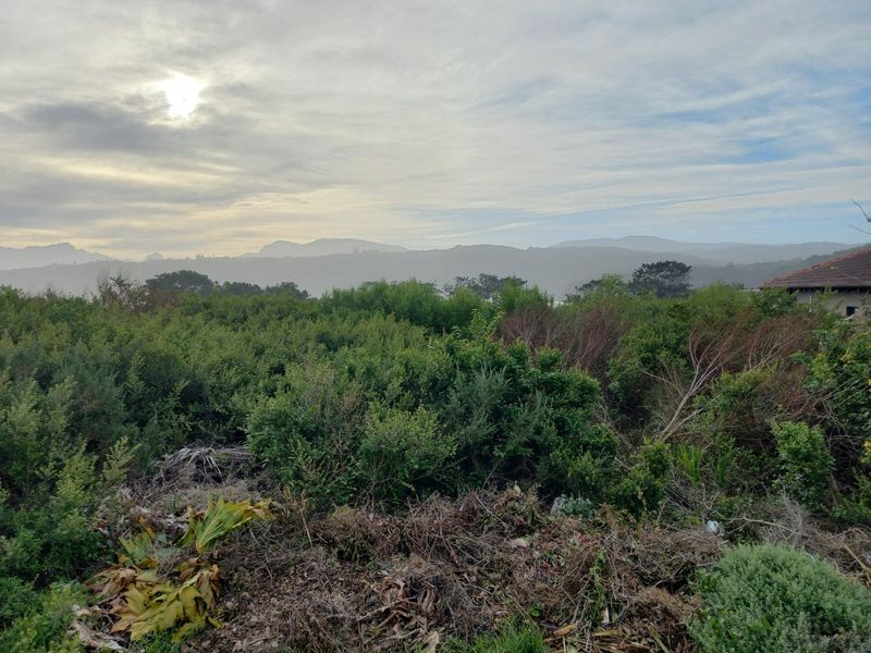 One the few Kleinkrantz Stands For Sale ! - Photo 5