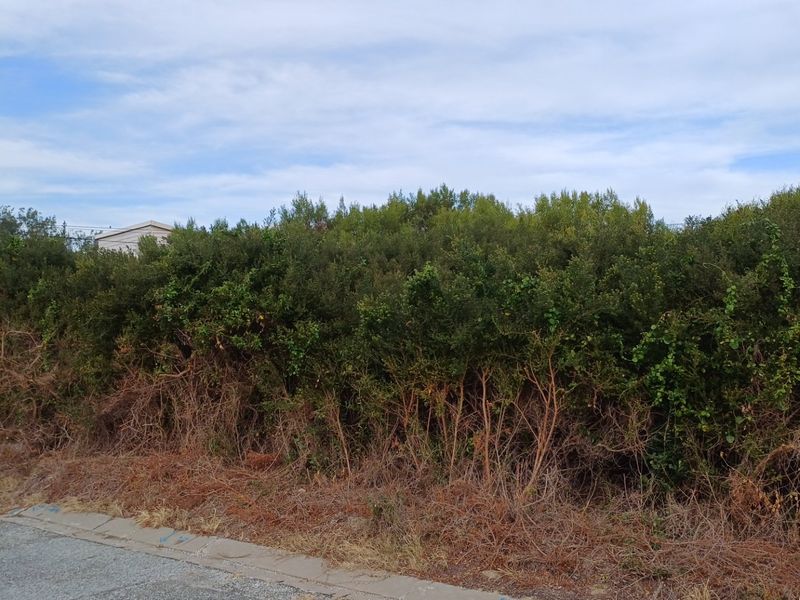 One the few Kleinkrantz Stands For Sale ! - Photo 6