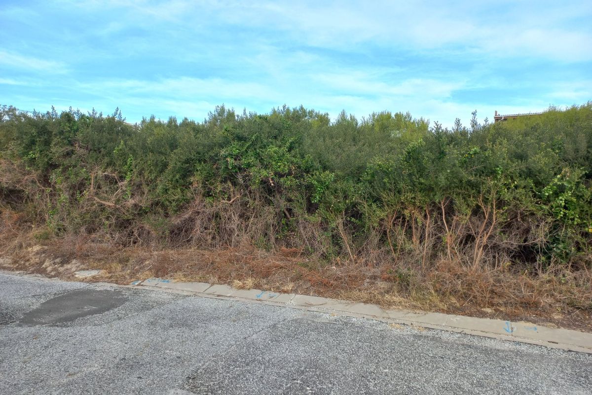 One the few Kleinkrantz Stands For Sale ! - Photo 2