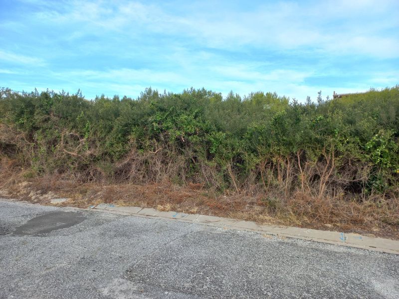 One the few Kleinkrantz Stands For Sale ! - Photo 2