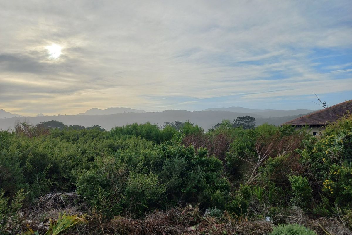 One the few Kleinkrantz Stands For Sale ! - Photo 4