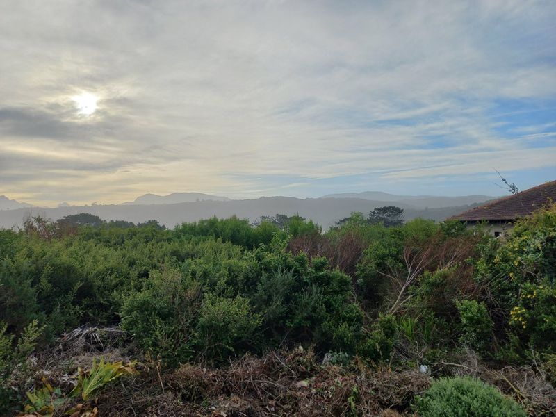 One the few Kleinkrantz Stands For Sale ! - Photo 4