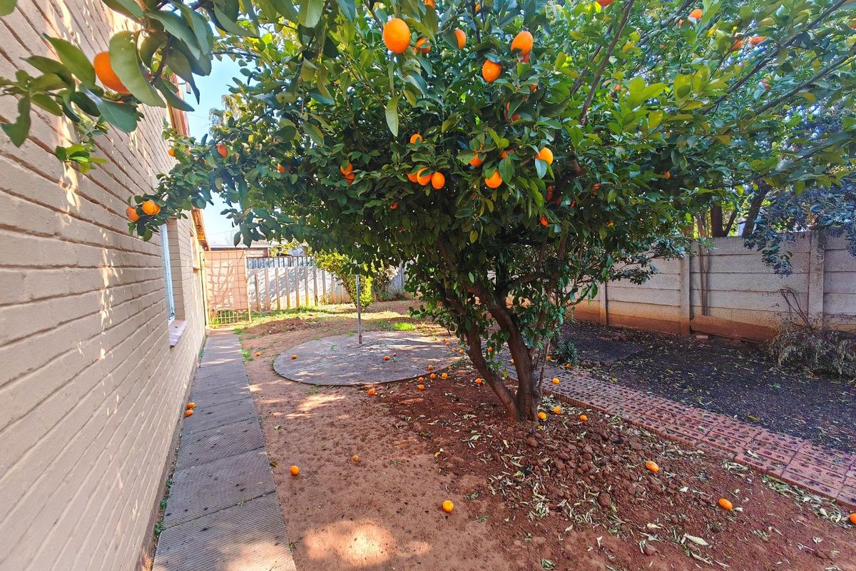 INVESTMENT!!!!!!! close to University of Free State - Photo 5