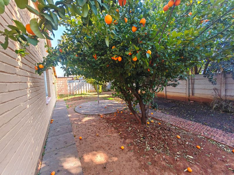 INVESTMENT!!!!!!! close to University of Free State - Photo 5