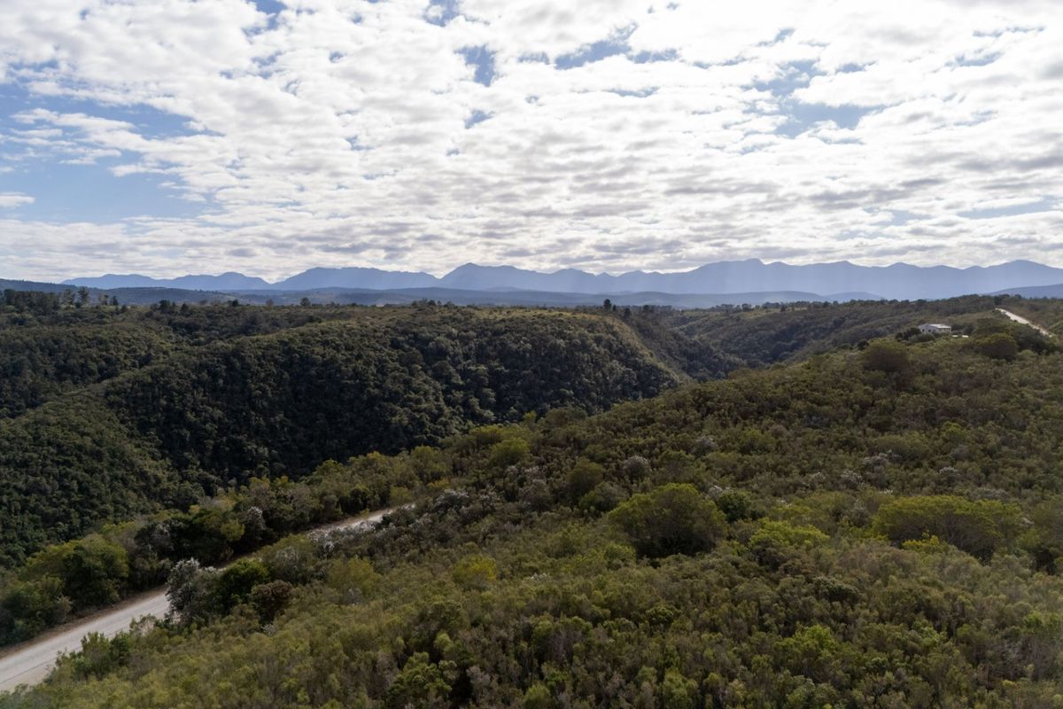 Picturesque Space for a Tiny Home or Petit Retreat - Photo 3