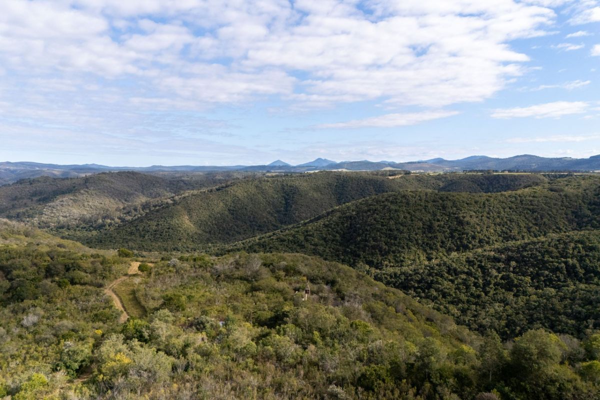 Picturesque Space for a Tiny Home or Petit Retreat - Photo 2