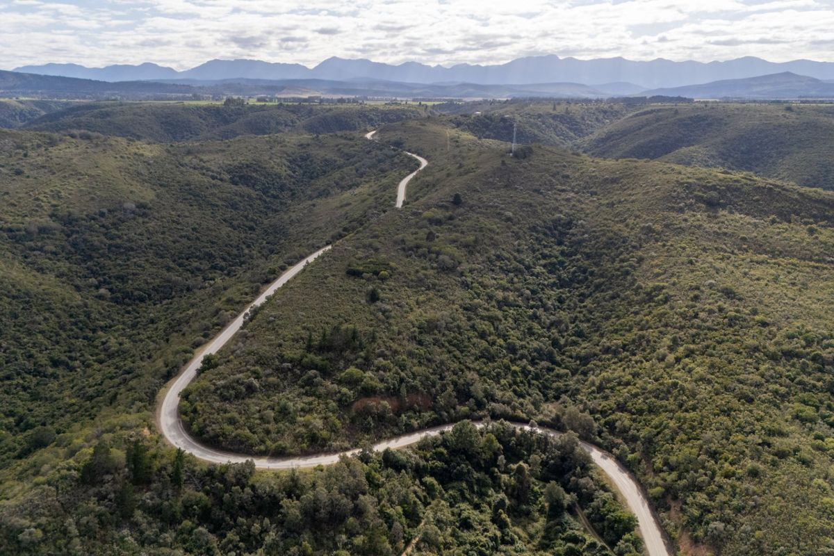 An aerial view of the expansive, hilly landscape featuring a winding paved road cutting through the natural vegetation and mountain range.