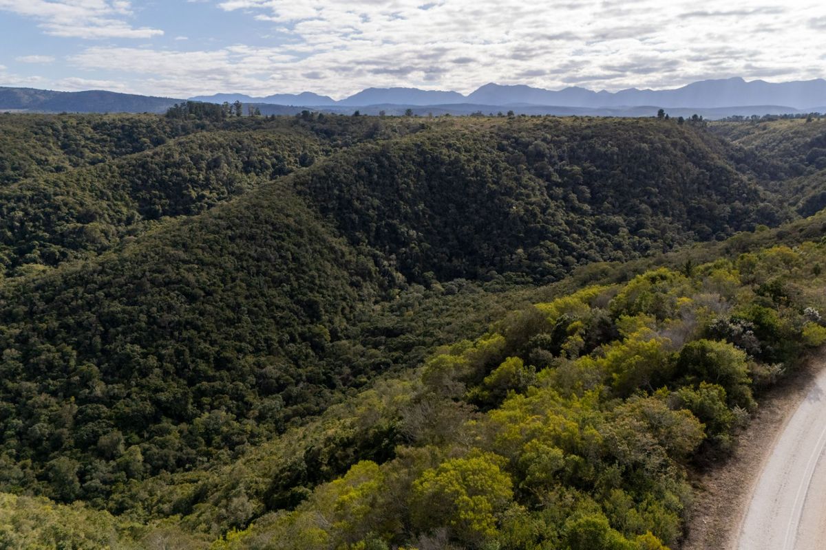 Aerial view of a large, undeveloped residential plot featuring dense native vegetation and scenic mountain vistas.