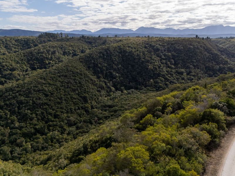 Aerial view of a large, undeveloped residential plot featuring dense native vegetation and scenic mountain vistas.