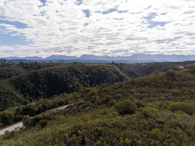 An aerial view of the expansive landscape featuring rolling hills, dense indigenous vegetation, and a distant mountain range.