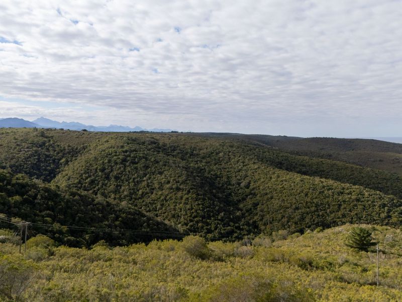 A scenic aerial view of a vast, hilly landscape covered in natural vegetation with distant mountains under a cloudy sky.