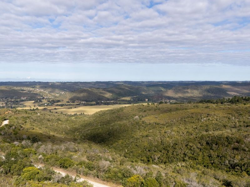 An aerial view of expansive, undeveloped residential land featuring natural vegetation and a dirt access road, showcasing the surrounding hilly landscape.