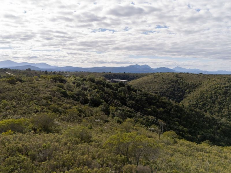 An aerial view of the vacant residential land featuring natural vegetation, rolling hills, and distant mountain vistas.