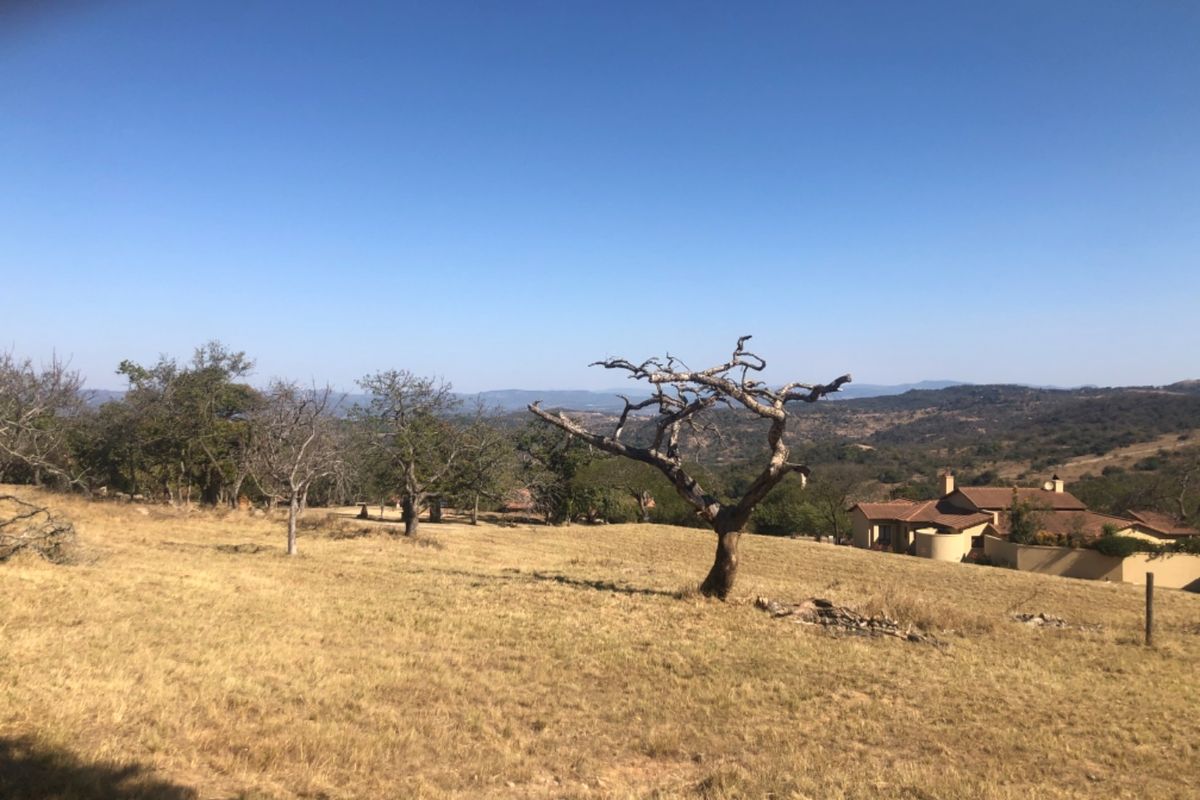 Build Your Dream Home in The Sought After Wild Fig Country Estate  - Photo 5