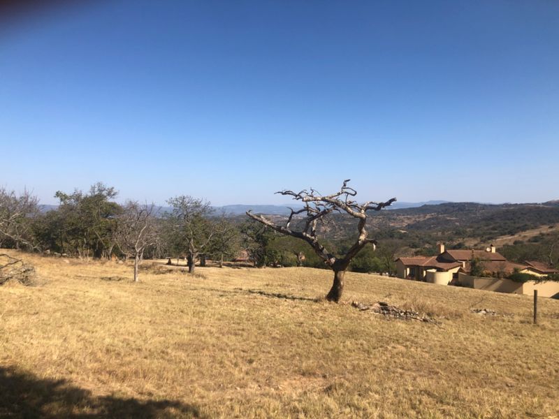 Build Your Dream Home in The Sought After Wild Fig Country Estate  - Photo 5