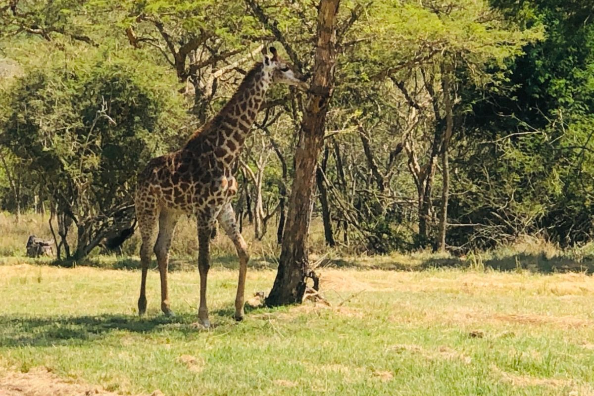 Build Your Dream Home in The Sought After Wild Fig Country Estate  - Photo 4