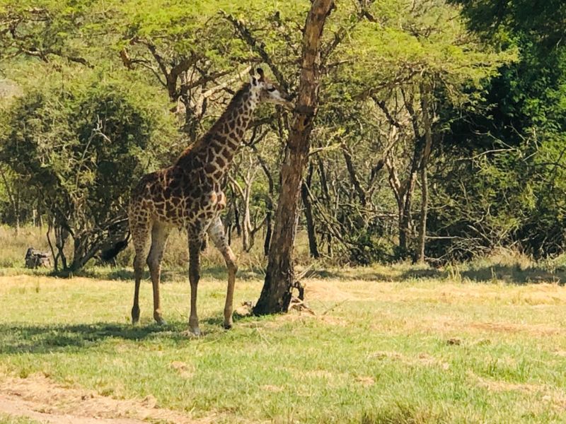 Build Your Dream Home in The Sought After Wild Fig Country Estate  - Photo 4