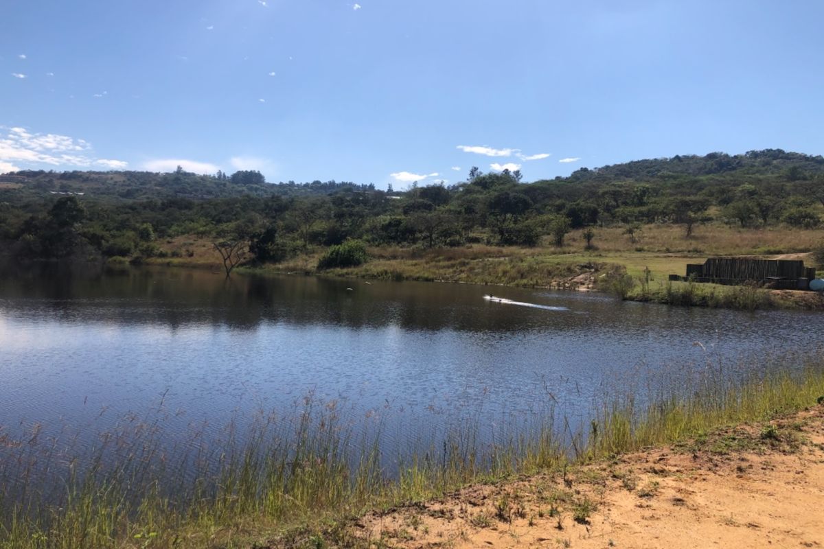 Build Your Dream Home in The Sought After Wild Fig Country Estate  - Photo 3