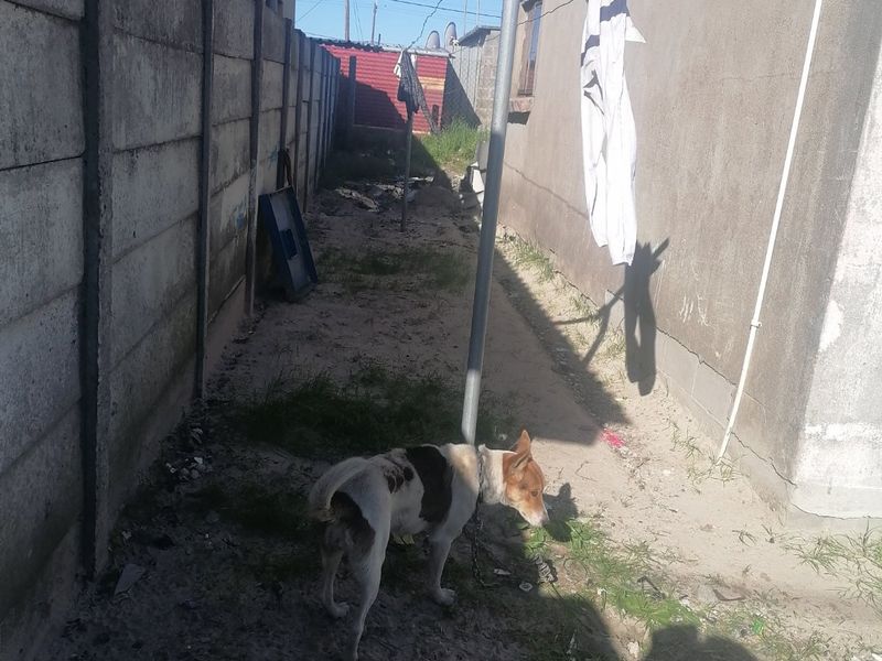 2 bedroom house for sale - Photo 5