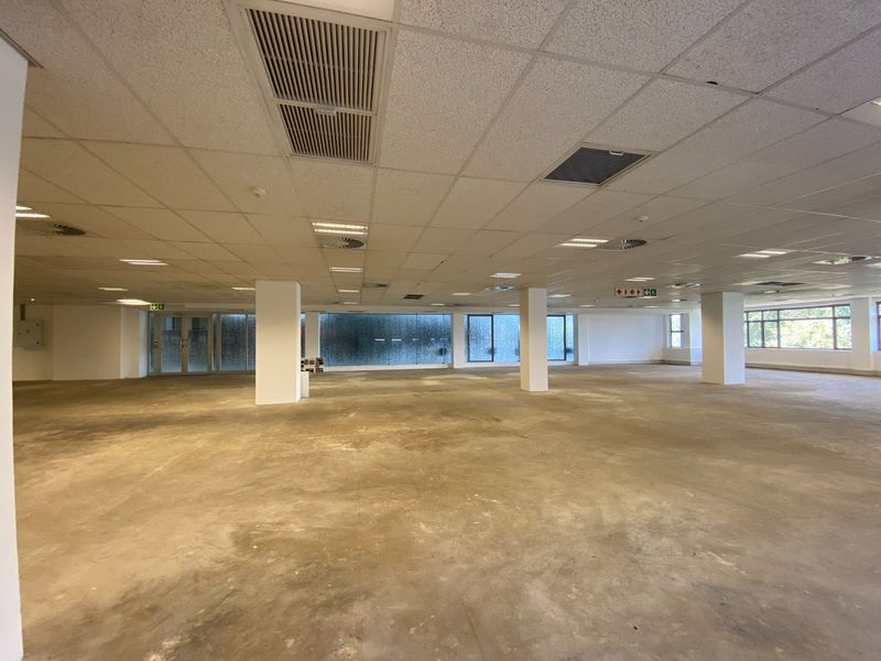 A large, open-plan commercial office space featuring a suspended ceiling, recessed lighting, structural columns, and expansive windows, currently awaiting floor finishing.