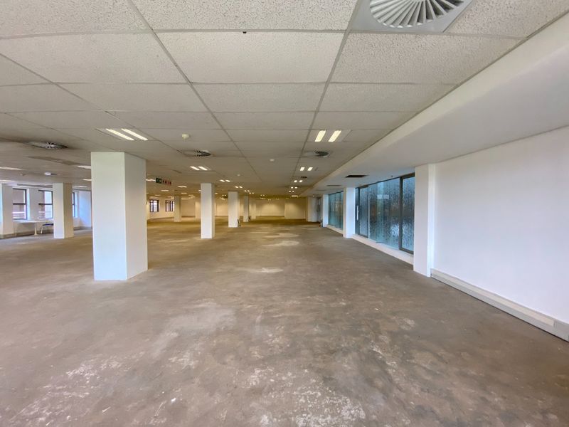 A large, open-plan commercial office space featuring a suspended ceiling, structural columns, and expansive windows, currently in a vacant, shell-like condition.