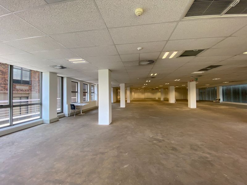 Expansive open-plan commercial office space featuring large windows, structural columns, suspended ceilings with recessed lighting, and exposed concrete flooring.