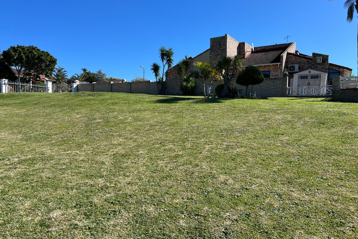 A spacious, well-maintained grassy backyard featuring a brick boundary wall, mature palm trees, and a small storage shed.