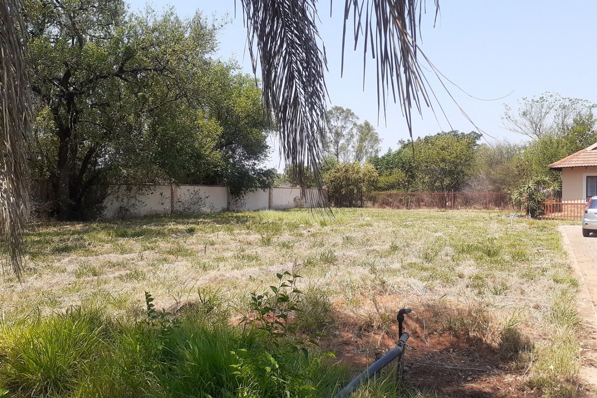 A spacious residential vacant land plot featuring a paved driveway, perimeter walling, and established trees, offering potential for future development.