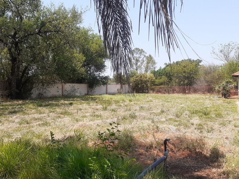 A spacious residential vacant land plot featuring a paved driveway, perimeter walling, and established trees, offering potential for future development.