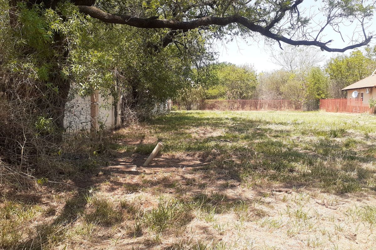 A view of a vacant residential plot featuring mature trees and perimeter fencing, offering a blank canvas for future development.