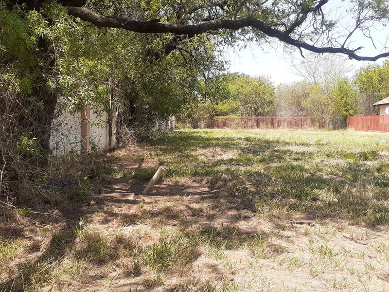 A view of a vacant residential plot featuring mature trees and perimeter fencing, offering a blank canvas for future development.