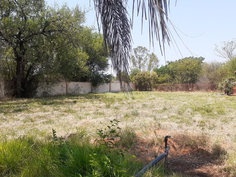 A view of a vacant residential plot featuring a paved driveway, perimeter walling, and established trees.