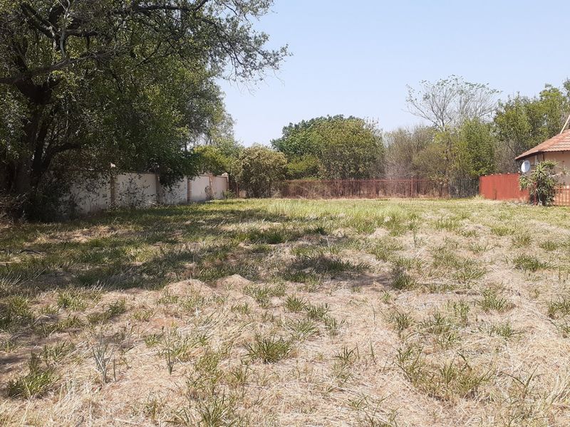 A spacious, undeveloped residential plot featuring mature trees, perimeter walling, and metal fencing, offering a blank canvas for future development.