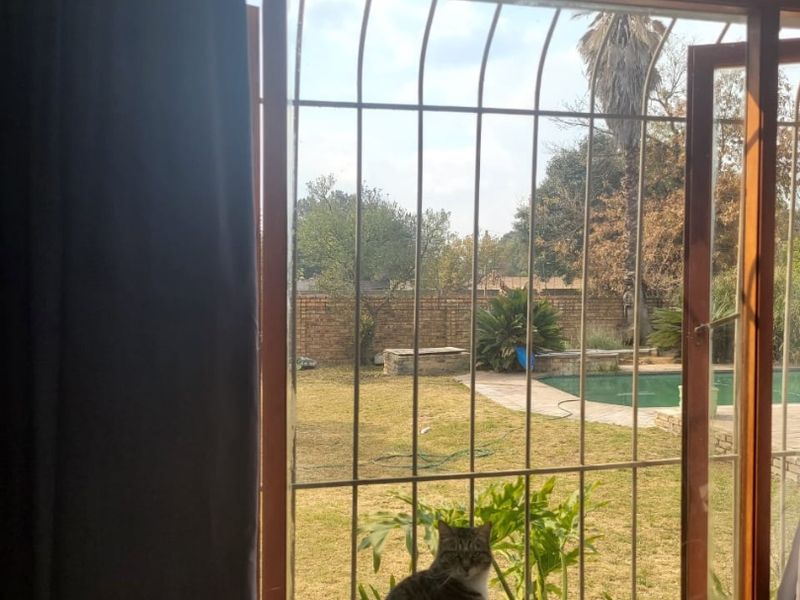 A view from an interior window looking out onto a private garden with a swimming pool and brick boundary wall.