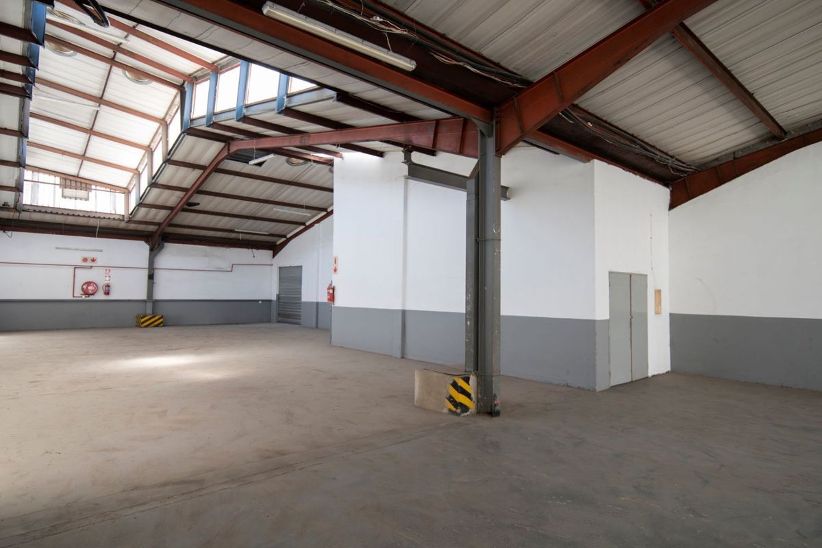 Spacious industrial warehouse unit featuring high ceilings with exposed steel trusses, concrete flooring, natural light from skylights, and a roller shutter door.